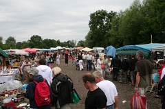 La Grande Fouille 2012 - Rougemont (34)